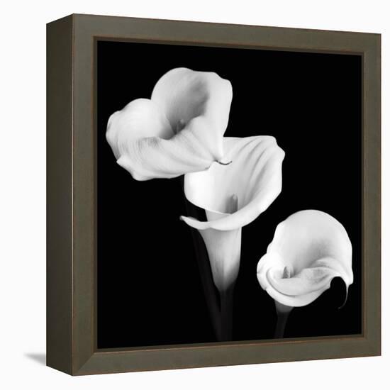 Sisters-Michael Faragher-Framed Stretched Canvas