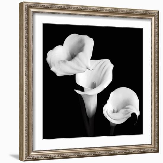 Sisters-Michael Faragher-Framed Premium Giclee Print