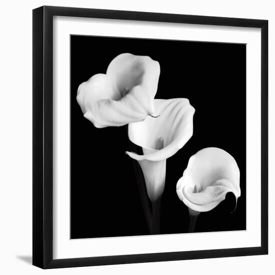 Sisters-Michael Faragher-Framed Premium Giclee Print