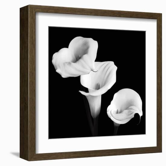 Sisters-Michael Faragher-Framed Art Print