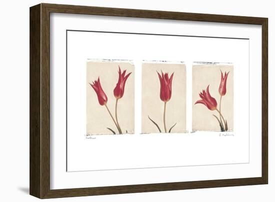 Sisters-Amy Melious-Framed Art Print