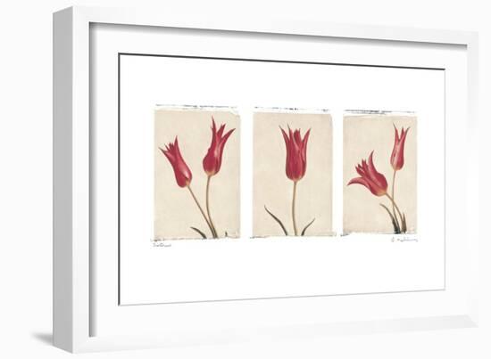 Sisters-Amy Melious-Framed Art Print