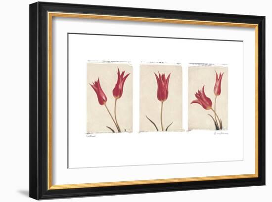 Sisters-Amy Melious-Framed Art Print