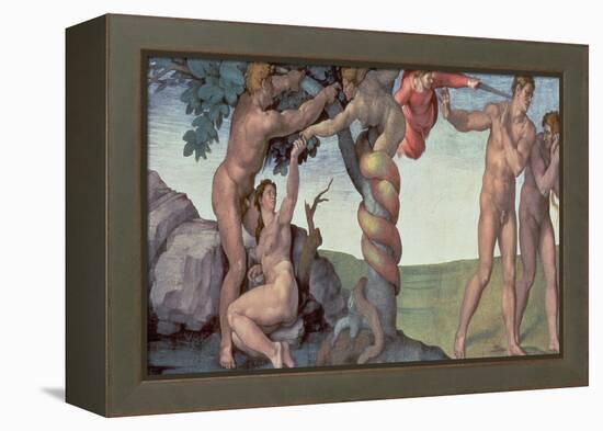 Sistine Chapel Ceiling (1508-12): the Fall of Man, 1510 (Post Restoration)-Michelangelo Buonarroti-Framed Premier Image Canvas