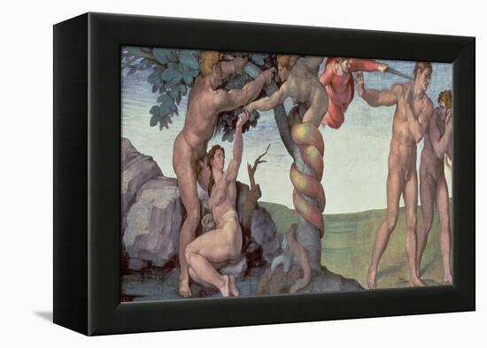 Sistine Chapel Ceiling (1508-12): the Fall of Man, 1510 (Post Restoration)-Michelangelo Buonarroti-Framed Premier Image Canvas