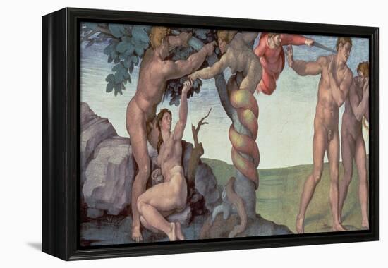 Sistine Chapel Ceiling (1508-12): the Fall of Man, 1510 (Post Restoration)-Michelangelo Buonarroti-Framed Premier Image Canvas