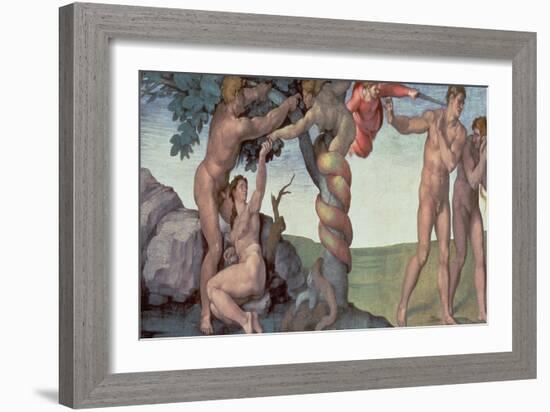 Sistine Chapel Ceiling (1508-12): the Fall of Man, 1510 (Post Restoration)-Michelangelo Buonarroti-Framed Giclee Print