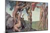 Sistine Chapel Ceiling (1508-12): the Fall of Man, 1510 (Post Restoration)-Michelangelo Buonarroti-Mounted Giclee Print