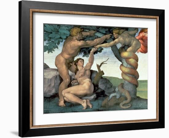 Sistine Chapel Ceiling (1508-12): the Fall of Man, 1510 (Post Restoration)-Michelangelo Buonarroti-Framed Giclee Print