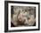 Sistine Chapel Ceiling: Erythraean Sibyl, 1508-12-Michelangelo Buonarroti-Framed Giclee Print