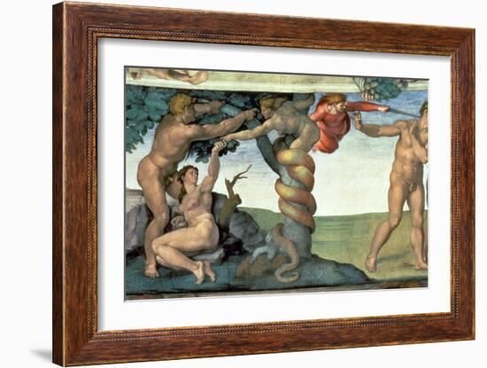 Sistine Chapel Ceiling : the Fall of Man, 1510-Michelangelo Buonarroti-Framed Giclee Print