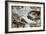 Sistine Chapel, the Creation of Adam-null-Framed Art Print