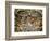 Sistine Chapel: the Last Judgement, 1538-41-Michelangelo Buonarroti-Framed Giclee Print