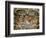 Sistine Chapel: the Last Judgement, 1538-41-Michelangelo Buonarroti-Framed Giclee Print