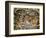 Sistine Chapel: the Last Judgement, 1538-41-Michelangelo Buonarroti-Framed Giclee Print