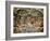 Sistine Chapel: the Last Judgement, 1538-41-Michelangelo Buonarroti-Framed Giclee Print