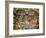 Sistine Chapel: the Last Judgement, 1538-41-Michelangelo Buonarroti-Framed Giclee Print