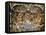 Sistine Chapel: the Last Judgement, 1538-41-Michelangelo Buonarroti-Framed Premier Image Canvas