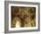 Sistine Chapel, Vatican, Rome, Lazio, Italy-John Ross-Framed Photographic Print