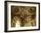 Sistine Chapel, Vatican, Rome, Lazio, Italy-John Ross-Framed Photographic Print