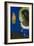 Sita, C.1893-Odilon Redon-Framed Giclee Print