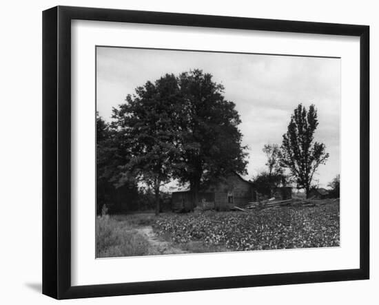 Site of Emmett Till's Kidnapping-Ed Clark-Framed Photographic Print