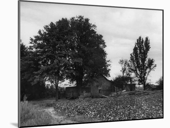 Site of Emmett Till's Kidnapping-Ed Clark-Mounted Photographic Print