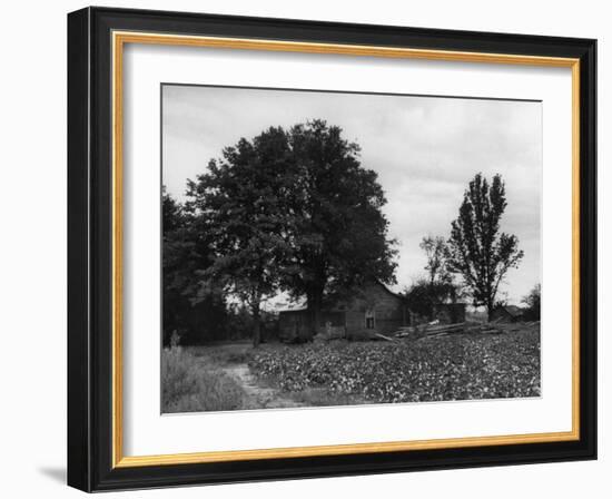 Site of Emmett Till's Kidnapping-Ed Clark-Framed Photographic Print