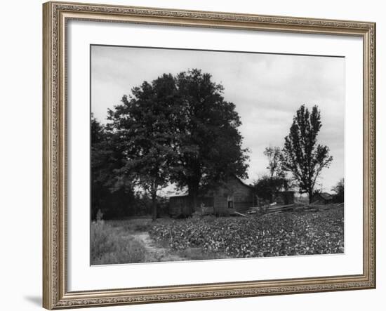 Site of Emmett Till's Kidnapping-Ed Clark-Framed Photographic Print