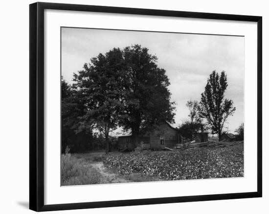 Site of Emmett Till's Kidnapping-Ed Clark-Framed Photographic Print