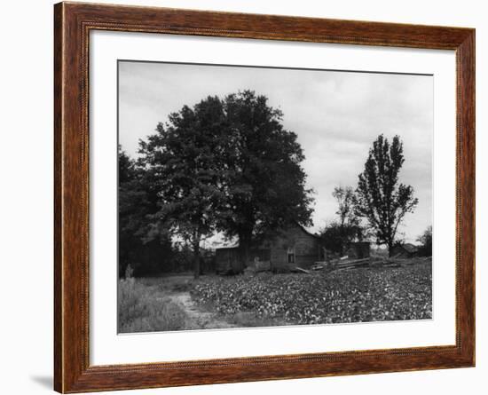 Site of Emmett Till's Kidnapping-Ed Clark-Framed Photographic Print