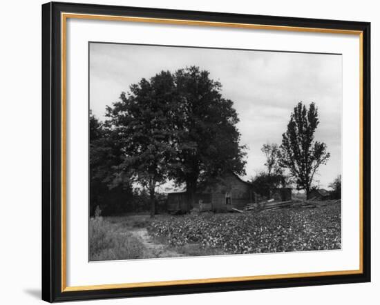 Site of Emmett Till's Kidnapping-Ed Clark-Framed Photographic Print