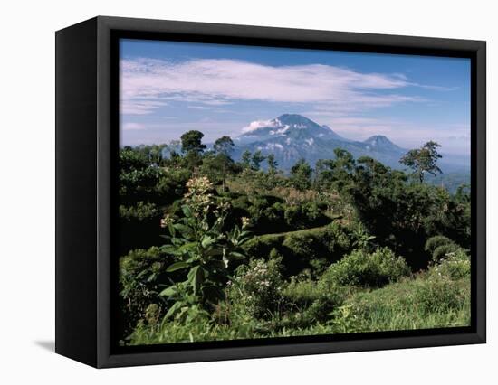 Site of Gedong Songo, Island of Java, Indonesia, Southeast Asia-Bruno Barbier-Framed Premier Image Canvas