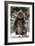 Sitka, Alaska - Bear Standing in Snow-Lantern Press-Framed Art Print