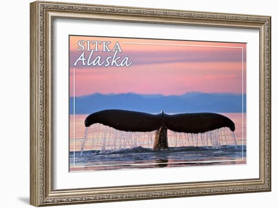 Sitka, Alaska - Humpback Fluke and Sunset-Lantern Press-Framed Premium Giclee Print