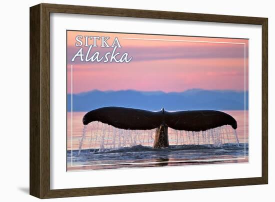 Sitka, Alaska - Humpback Fluke and Sunset-Lantern Press-Framed Premium Giclee Print