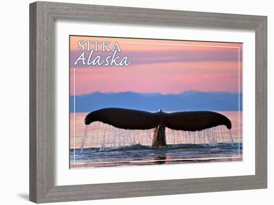 Sitka, Alaska - Humpback Fluke and Sunset-Lantern Press-Framed Art Print