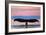 Sitka, Alaska - Humpback Fluke and Sunset-Lantern Press-Framed Art Print