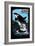 Sitka, Alaska - Orca - Scratchboard-Lantern Press-Framed Premium Giclee Print