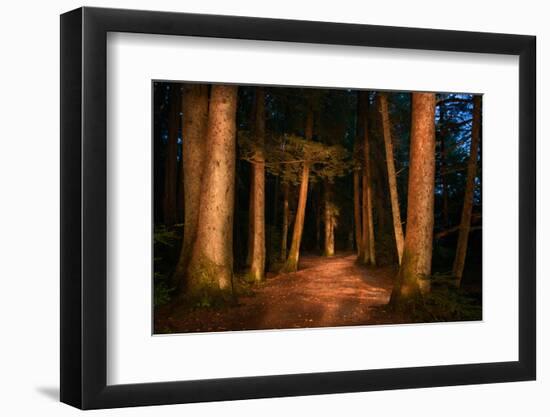 Sitka National Historic Park aka Totem Park, Sitka, Alaska-Mark A Johnson-Framed Photographic Print