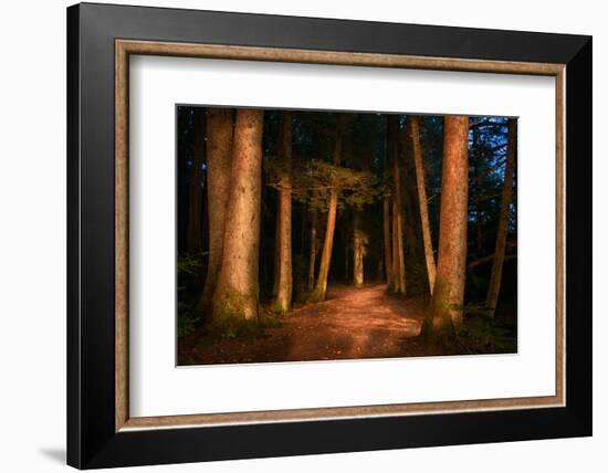 Sitka National Historic Park aka Totem Park, Sitka, Alaska-Mark A Johnson-Framed Photographic Print