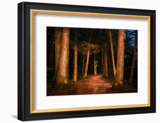 Sitka National Historic Park aka Totem Park, Sitka, Alaska-Mark A Johnson-Framed Photographic Print