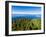 Sitka Sound & Mt. Edgecumbe on Kruzof Island, Baranof Island, Sitka, Alaska, USA-Mark A Johnson-Framed Photographic Print