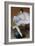 Sitting Ballet Dancer, 1890-Pierre Carrier-belleuse-Framed Giclee Print