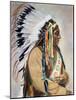 Sitting Bull (1834-1890)-null-Mounted Photographic Print