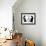 Sitting Cats-Cattallina-Framed Premium Giclee Print displayed on a wall