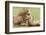 Sitting Lioness Snarling at Reclining Cub, Ngorongoro, Tanzania-James Heupel-Framed Photographic Print