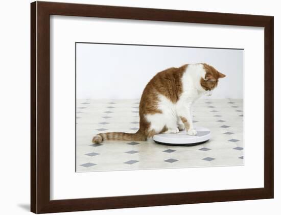 Sitting on Bathroom Scales-null-Framed Photographic Print