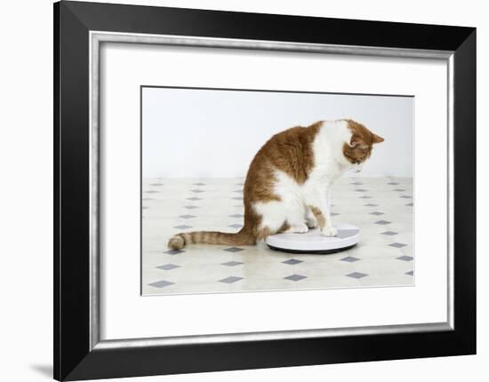 Sitting on Bathroom Scales-null-Framed Photographic Print