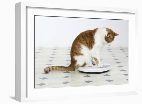 Sitting on Bathroom Scales-null-Framed Photographic Print